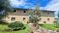 Toscana Immobiliare - Villas y casas rurales en la provincia de Siena