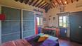 Toscana Immobiliare - Winery with accommodation, land and wellness centre in Tuscany