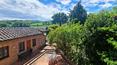 Toscana Immobiliare - Bodega con alojamiento, terreno y centro de bienestar en la Toscana