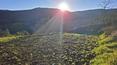 Toscana Immobiliare - Farmhouse with land for sale in Tuscany