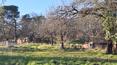 Toscana Immobiliare - Ferme avec terrain à vendre en Toscane