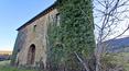 Toscana Immobiliare - Bauernhaus mit Land in der Toskana zu verkaufen