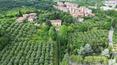 Toscana Immobiliare - Repräsentative toskanische Villa aus dem 18. Jahrhundert mit Park, Olivenhain und italienischem Garten