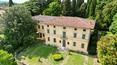 Toscana Immobiliare - Prestigieuse villa toscane du 18ème siècle avec parc, oliveraie et jardin italien