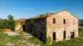Toscana Immobiliare - Ferme à restaurer avec terrain, idéale pour l'hébergement avec restaurant et piscine