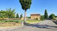 Toscana Immobiliare - Ville e casali in vendita in Toscana