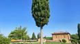 Toscana Immobiliare - Villen und Bauernhäuser in der Toskana zu verkaufen