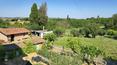Toscana Immobiliare - Bauernhaus mit Nebengebäuden und Gemüsegarten zu verkaufen in Sinalunga, Toskana