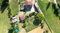 Toscana Immobiliare - Villas and farmhouses for sale in Tuscany
