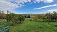Toscana Immobiliare -