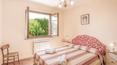 Toscana Immobiliare - La piscine privée avec escalier romain et solarium offre des moments de pure détente