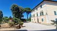 Toscana Immobiliare - La proprietà è completata da una meravigliosa piscina con jacuzzi