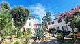 Toscana Immobiliare - The property is surrounded by 20 hectares of land with olive groves, woodland and hilly terrain