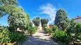 Toscana Immobiliare - In front of the villa is a large Italian-style garden with paths, flower beds, century-old trees and pine trees