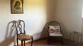 Toscana Immobiliare - Real estate for sale in Tuscany