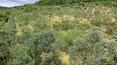 Toscana Immobiliare - Portion of Tuscan farmhouse with private garden and view of Arezzo