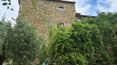 Toscana Immobiliare - Propiedad en venta en Arezzo, en la campiña toscana