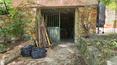 Toscana Immobiliare - Casas en Toscana