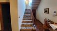 Toscana Immobiliare - Élégante villa des années 30 avec jardin et garage à Lucques, en Toscane