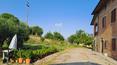 Toscana Immobiliare - Villa with annex, stable, olive grove and orchard for sale in Castiglione del Lago, Umbria