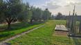 Toscana Immobiliare - Villa à vendre à Castiglione del Lago, en Ombrie