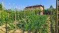 Toscana Immobiliare - Villa for sale in Castiglione del Lago, Umbria