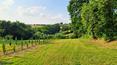 Toscana Immobiliare - Villa zum Verkauf in Castiglione del Lago, Umbrien
