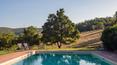 Toscana Immobiliare - Farmhouse with swimming pool and olive grove in the heart of Chianti Classico