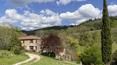 Toscana Immobiliare - Casale con piscina e oliveto nel cuore del Chianti Classico