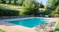 Toscana Immobiliare - Affascinante casale con piscina panoramica e oliveto in vendita in provincia di Siena, Toscana