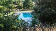 Toscana Immobiliare - Stone farmhouse immersed in the timeless tranquillity of the Tuscan countryside