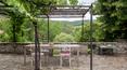 Toscana Immobiliare - Casa rural con piscina y olivar en el corazón del Chianti Classico