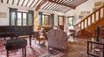 Toscana Immobiliare - Charmante ferme avec piscine panoramique et oliveraie à vendre dans la province de Sienne, en Toscane