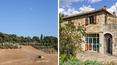 Toscana Immobiliare - Ferme avec piscine et oliveraie au cœur du Chianti Classico