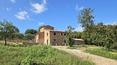 Toscana Immobiliare - Toskanisches Landhaus mit Grundstück und Nebengebäude in Lucignano, Toskana, zu verkaufen