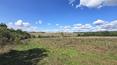 Toscana Immobiliare - Casa rural toscana con terreno y anexo en venta en Lucignano, Toscana