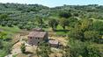 Toscana Immobiliare - Ferme toscane avec terrain et dépendance à vendre à Lucignano, Toscane
