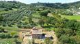 Toscana Immobiliare - Ferme en pierre à rénover avec dépendance, 2 ha de terrain et possibilité de piscine dans la province d'Arezzo