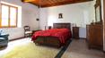 Toscana Immobiliare - Propiedad en venta en la Toscana