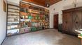 Toscana Immobiliare - The property is completed by approximately 11 hectares of land with arable land and olive groves
