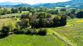 Toscana Immobiliare - Antikes Anwesen in der toskanischen Landschaft in Poppi zu verkaufen