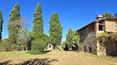 Toscana Immobiliare - Propiedad en venta en Toscana