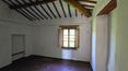 Toscana Immobiliare - Villas et fermes en Toscane