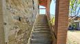 Toscana Immobiliare - Farmhouse in need of renovation for sale in Arezzo, Tuscany