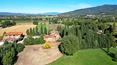 Toscana Immobiliare - Casa rural del siglo XIX con dependencias, granero y 14 000 m² de terreno