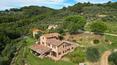 Toscana Immobiliare - Casa rural con piscina, 6 pisos, anexos y 7 hectáreas de terreno con viñedo, bosque y olivar