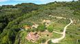 Toscana Immobiliare - La proprietà è completata da due grandi annessi agricoli