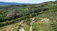 Toscana Immobiliare - Bauernhaus mit Pool, 6 Wohnungen, Nebengebäuden und 7 Hektar Land mit Weinberg, Wald und Olivenhain