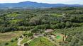 Toscana Immobiliare - The property is completed by two large agricultural outbuildings
