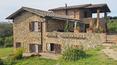 Toscana Immobiliare - Casale con piscina, 6 appartamenti, annessi e 7 ettari di terreno con vigneto, bosco e oliveto